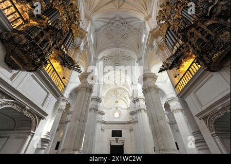 Orgel, Kathedrale Santa Maria de la Encarnacion, Kathedrale von Granada, Innenansicht einer barocken Kirche mit Orgeln und gewölbter Decke, Granada Stockfoto