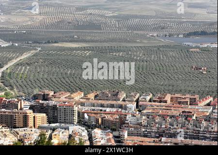 Blick vom Castillo de Santa Catalina, moderne neue Gebäude, teilweiser Blick auf Jaen, Andalusien, Panoramablick auf eine Stadt mit umliegenden Olivenhainen Stockfoto