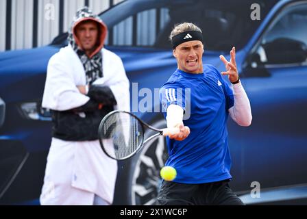 München, Deutschland. April 2024. Tennis: ATP Tour - München, Singles, Männer, Achtelfinale. Alexander Zwerev trainiert auf einem Seitenplatz. Quelle: Sven Hoppe/dpa/Alamy Live News Stockfoto