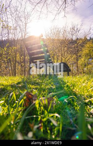 Eine leere Parkbank im Gras, beleuchtet von Sonnenstrahlen am frühen Morgen, Frühling, Calw, Schwarzwald, Deutschland Stockfoto