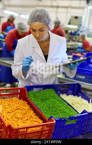 Spargel, Karotten und Erbsen, matter Gemüseeintopf. Produktionslinie für Gemüse und Hülsenfrüchte in Dosen, Konservenindustrie, Agrar- und Nahrungsmittelindustrie, Villafranca, Navarra, Spanien, Europa. Stockfoto