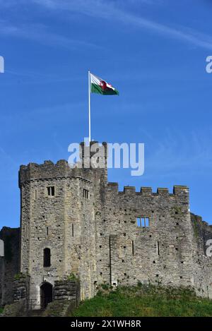 Fotos vom 04/24, die das Leben im Park in Bute Park, Cardiff, Wales ...