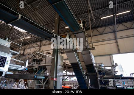 Verarbeitungsausrüstung für frisches Gemüse nach der Ernte, Lagerung, Sortierung, Waschen, Schneiden, Verpackung, Landwirtschaft in den Niederlanden Stockfoto