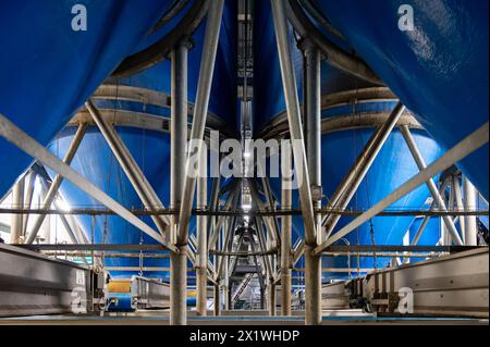 Verarbeitungsausrüstung für frisches Gemüse nach der Ernte, Lagerung, Sortierung, Waschen, Schneiden, Verpackung, Landwirtschaft in den Niederlanden Stockfoto