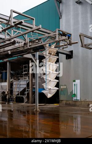 Verarbeitungsausrüstung für frisches Gemüse nach der Ernte, Lagerung, Sortierung, Waschen, Schneiden, Verpackung, Landwirtschaft in den Niederlanden Stockfoto