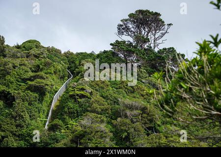 Der Sperrzaun für Raubtiere, Zealandia, Wellington, Nordinsel, Neuseeland Stockfoto