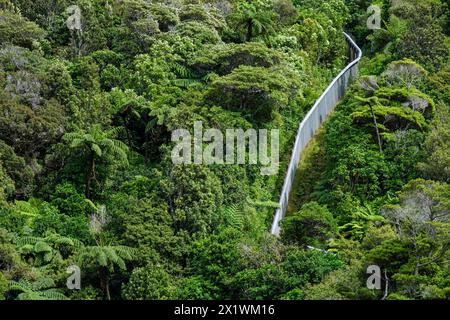 Der Sperrzaun für Raubtiere, Zealandia, Wellington, Nordinsel, Neuseeland Stockfoto