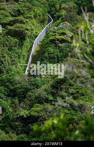 Der Sperrzaun für Raubtiere, Zealandia, Wellington, Nordinsel, Neuseeland Stockfoto