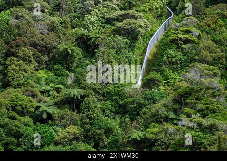 Der Sperrzaun für Raubtiere, Zealandia, Wellington, Nordinsel, Neuseeland Stockfoto