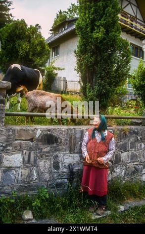 Dorf in den Siebenbürgischen Karpaten Stockfoto