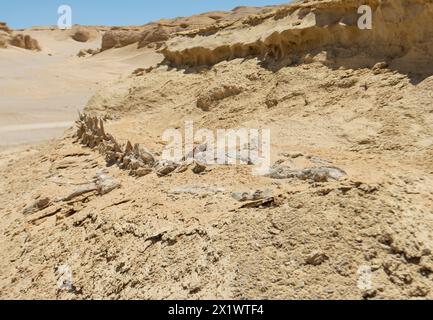 Landschaftlich reizvolle Aussicht auf die einsame karge westliche Wüste in Ägypten mit geologischen Bergsandsteinformationen und fossilen Walskeletten Stockfoto