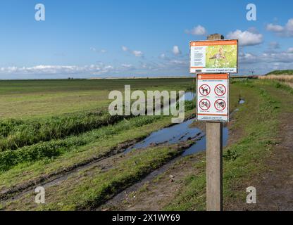 Vorübergehendes Verbotsschild auf der Seite einer unbefestigten Straße durch Naturschutzgebiet Vogelschutzgebiet, Zutritt während der Brutsaison in den Niederlanden verboten Stockfoto