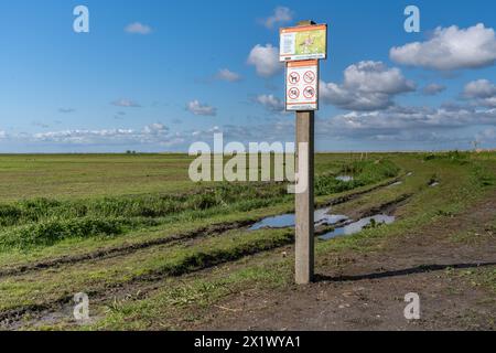 Vorübergehendes Verbotsschild auf der Seite einer unbefestigten Straße durch Naturschutzgebiet Vogelschutzgebiet, Zutritt während der Brutsaison in den Niederlanden verboten Stockfoto