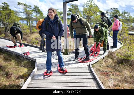 Kronprinzessin Victoria von Schweden trägt Schneeschuhe, wenn sie am 18. April 2024 den Store Mosse National Park in Varnamo, Schweden besucht. Foto: Björn Larsson Rosvall/TT/Code 9200 Credit: TT News Agency/Alamy Live News Stockfoto