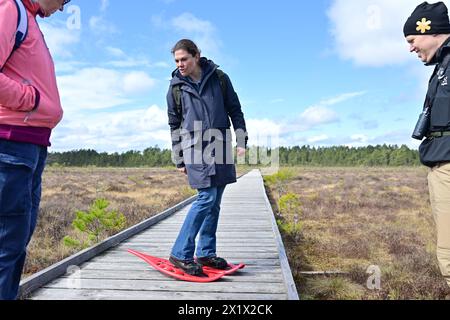 Kronprinzessin Victoria von Schweden trägt Schneeschuhe, wenn sie am 18. April 2024 den Store Mosse National Park in Varnamo, Schweden besucht. Foto: Björn Larsson Rosvall/TT/Code 9200 Credit: TT News Agency/Alamy Live News Stockfoto