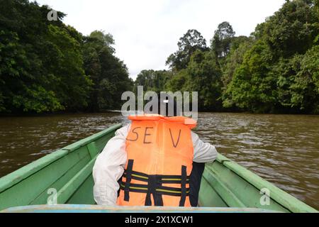 Ein sehr tapferer Junge segelte einen Fluss in einem kleinen Holzkanu in Brunei. Stockfoto