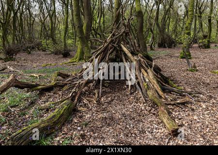 Wendover, Großbritannien. April 2024. Eine kleine Höhle aus Ästen ist im Wald auf dem Bacombe Hill abgebildet. Der Bacombe Hill ist eine alte Kreidefläche in den Chilterns. Quelle: Mark Kerrison/Alamy Live News Stockfoto