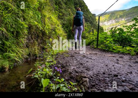 Beschreibung: Low-angle-Aufnahme eines Backpackers, der auf einem malerischen Wanderweg unter einer Klippe entlang eines Wasserkanals durch den Regenwald von Madeira spaziert. Levad Stockfoto