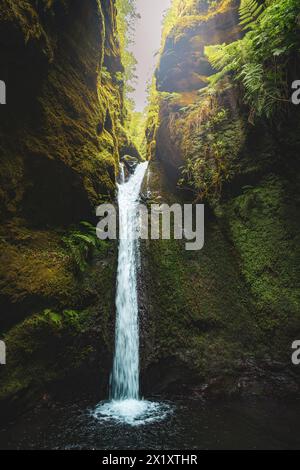 Beschreibung: Landschaft eines malerischen Wasserfalls mit Pflanzen in einer riesigen Schlucht mitten im Regenwald. Levada von Caldeirão Verde, Madeira ist Stockfoto