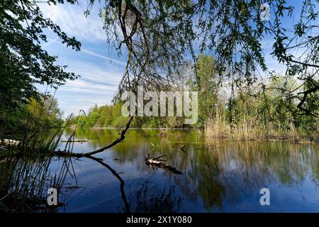 Auf dem Weg zwischen dem Vogelschutzgebiet NSG Garstadt und der Mainebne bei Hirschfeld und Heidenfeld im Landkreis Schweinfurt, Unterfranken, Bavar Stockfoto