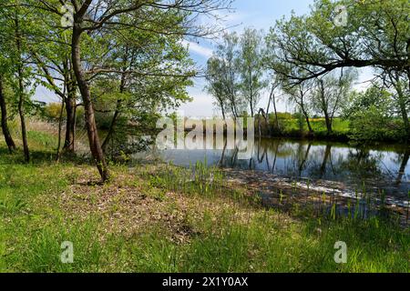 Auf dem Weg zwischen dem Vogelschutzgebiet NSG Garstadt und der Mainebne bei Hirschfeld und Heidenfeld im Landkreis Schweinfurt, Unterfranken, Bavar Stockfoto