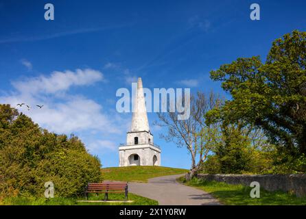 Der Obelisk auf Killiney Hill im County Dublin, Irland, wurde gebaut, um während der vergessenen Hungersnot in Irland zwischen 1740 und 1741 zu arbeiten. Stockfoto