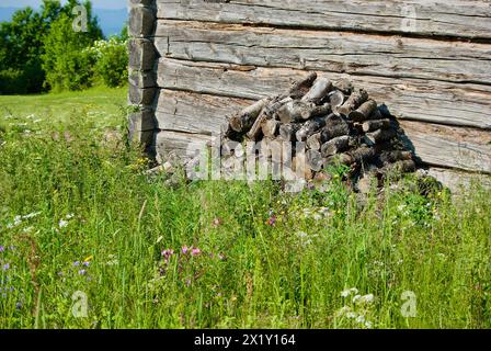Alte graue schwedische Holzscheune mit einem Holzhaufen zwischen wilden Blumen in einer ländlichen Sommerlandschaft. Stockfoto