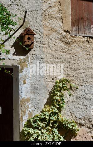 Altes, abgenutztes Steingebäude mit braunen Türen und Fensterläden, kletternder Efeupflanze und einem braunen hölzernen Vogelhaus. Stockfoto