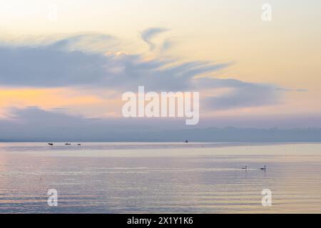 Beschreibung: Schöner Blick auf den bodensee bei Sonnenaufgang mit fischerbooten, Katamaran-Fähre und Schwänen, die in den frühen Morgenstunden von der Imperia-Statue geschossen wurden. Po Stockfoto