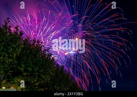 Wunderschönes Feuerwerk beim Seeuchtfest am Bodensee. Konstanz, Baden-Württemberg, Deutschland. Stockfoto