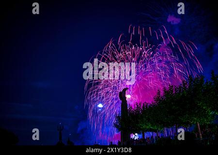 Wunderschönes Feuerwerk beim Seeuchtfest am Bodensee. Konstanz, Baden-Württemberg, Deutschland. Stockfoto