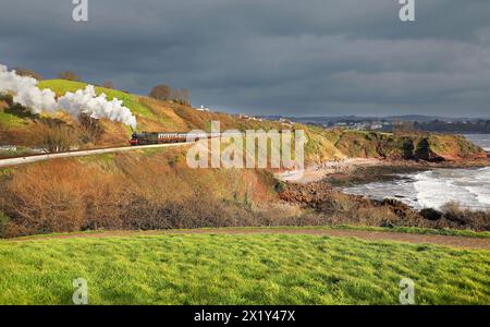 7827 fährt an Saltern Cove vorbei auf der Dartmouth Steam Railway am 7,3.24. Stockfoto