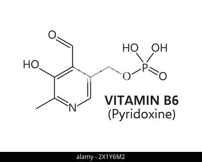 Vitamin B6-Formel. Dünnlinienchemische Struktur von Pyridoxin, Pyridoxamin oder Pyridoxal, Vektor-Nahrungsergänzungsmittel, Chemiewissenschaft und Medizin. Vitamin B6 essentielle Nährstoffstrukturformel Stock Vektor