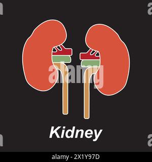 Niere Icon Vektor Illustration Symbol Design Stock Vektor