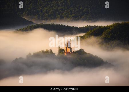 Schloss Berwartstein oberhalb des Nebels, Erlenbach, Pfälzerwald, Rheinland-Pfalz, Deutschland Stockfoto