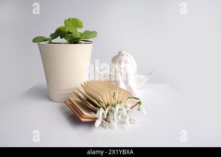 Junge Kürbissprossen in Töpfen, Blumen des ersten Frühlings, Schneeglöckchen, Galanthus zwischen Seiten eines kleinen Buches, Engelsfigur, Konzept der Jahreszeiten, gelesen Stockfoto