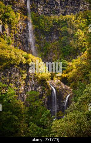 Kleiner Wasserfall zwischen den Felsen, Rabacal, Madeira, Portugal Stockfoto