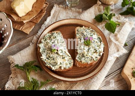 Zwei Scheiben Sauerteigbrot mit Brennnesselbutter und frischen Lungenkrautblüten – im Frühjahr geerntete Wildpflanzen Stockfoto