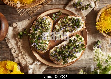 Frisch blühende Efeupflanze, geerntet im Frühjahr auf drei Scheiben Sauerteigbrot, Blick von oben Stockfoto