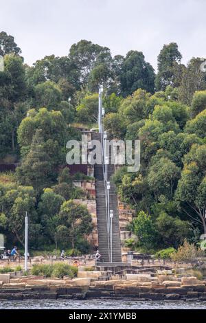 Burrawang Steps auf dem Wulugul Walk im Barangaroo Reserve Headland Park in Sydney, NSW, Australien Stockfoto