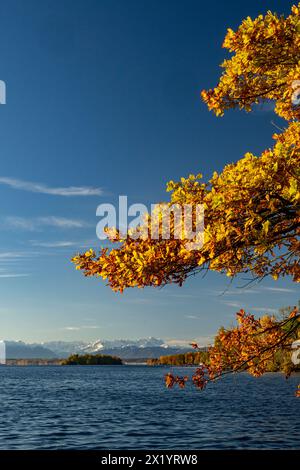 Herbstmorgen am Starnberger See Stockfoto