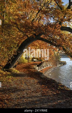 Herbstmorgen am Starnberger See Stockfoto