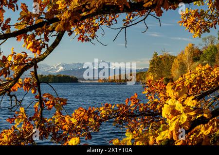 Herbstmorgen am Starnberger See Stockfoto