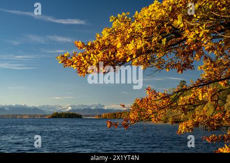 Herbstmorgen am Starnberger See Stockfoto