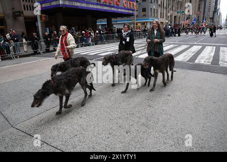 Die schottischen Deerhounds marschieren während der Tartan Day Parade auf der Sixth Avenue in New York, N.Y., Samstag, den 6. April 2024. Jedes Jahr in New York City, Tartan Stockfoto