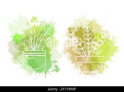 Vektorsatz von weißen Konturpflanzen in Töpfen Clip Arts mit grünen Aquarellspritzern. Sammlung von Umrissblumen in Vasen zur Hausdekoration. Natur Stock Vektor