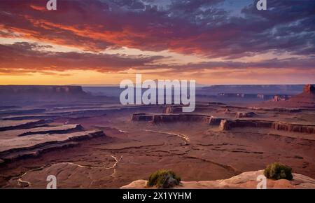 Blick vom Grandview Point auf Sandsteinschluchten des Monument Basin, Canyonlands National Park, Utah. Stock Vektor