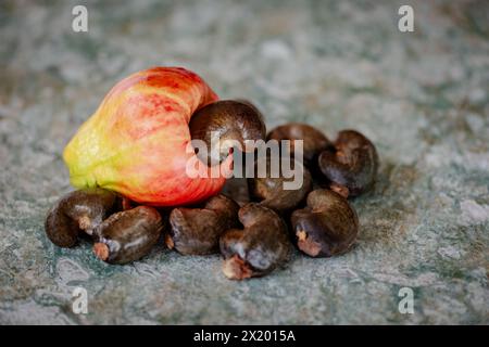 Cashewnüsse Früchte tropisches Klima exotisch roh frisch süß saftig Stockfoto