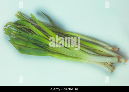 Ein Nahfoto von einem Haufen frischer grüner Zwiebeln oder Zwiebeln auf einem sauberen weißen Hintergrund. Stockfoto