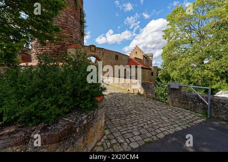 Schloss Saaleck bei der Weinstadt Hammelburg, Landkreis Bad Kissingen, Unterfranken, Franken, Bayern, Deutschland Stockfoto